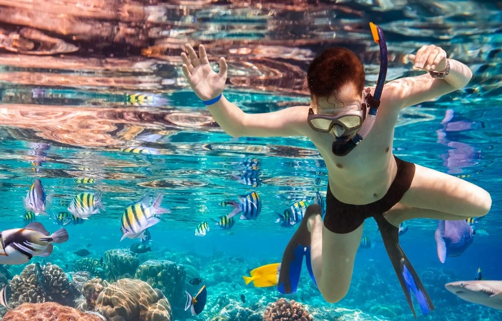 Snorkelling in Zanzibar Pictures