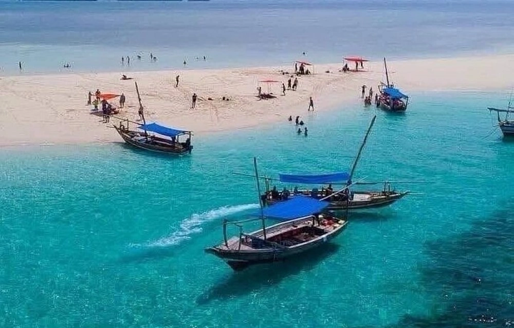 Full Day Safari Blue Adventure in Zanzibar Pictures