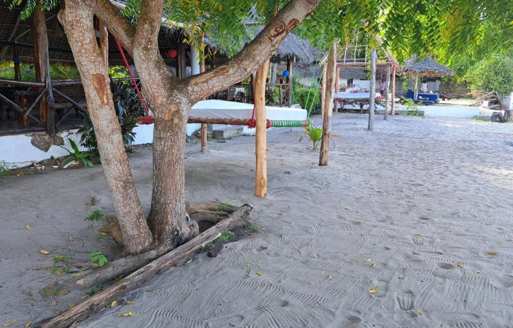 About Hotel in Zanzibar Pictures 4