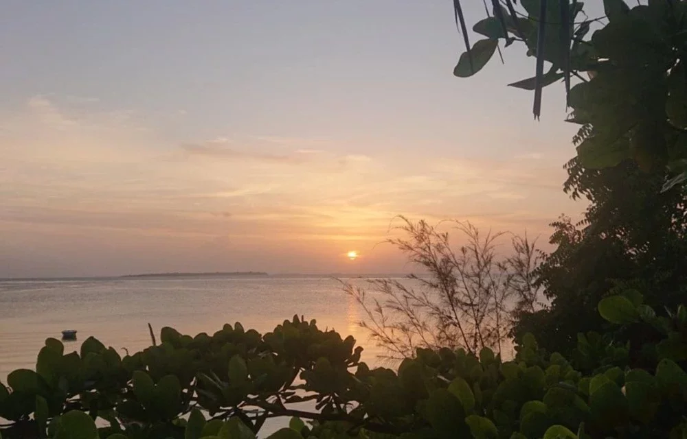 About Hotel in Zanzibar Pictures 5